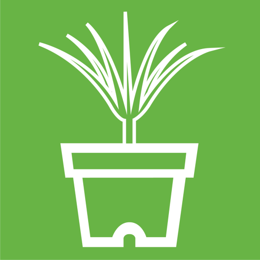 10613080_360112454191421_9065508295164043194_n