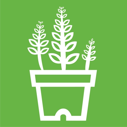 11013_360112894191377_1273474599159936317_n