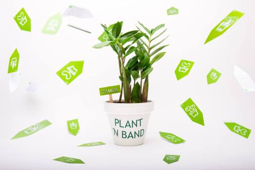 11174708_365042970365036_4758994885777545653_o