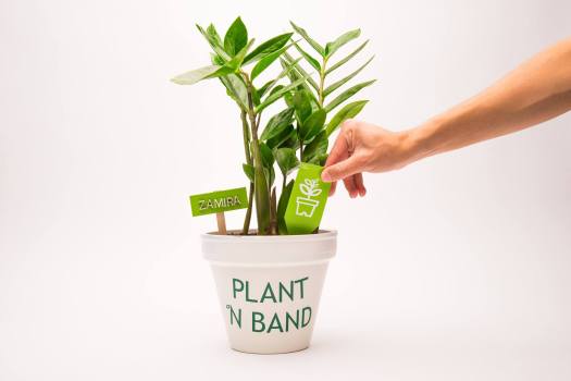 11206585_365043963698270_8346770050394346034_o