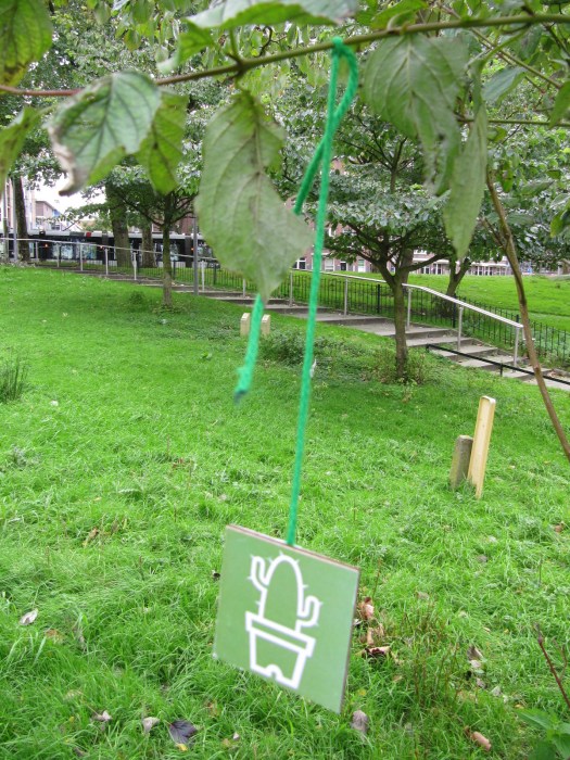 Plant N Band boom plaatje